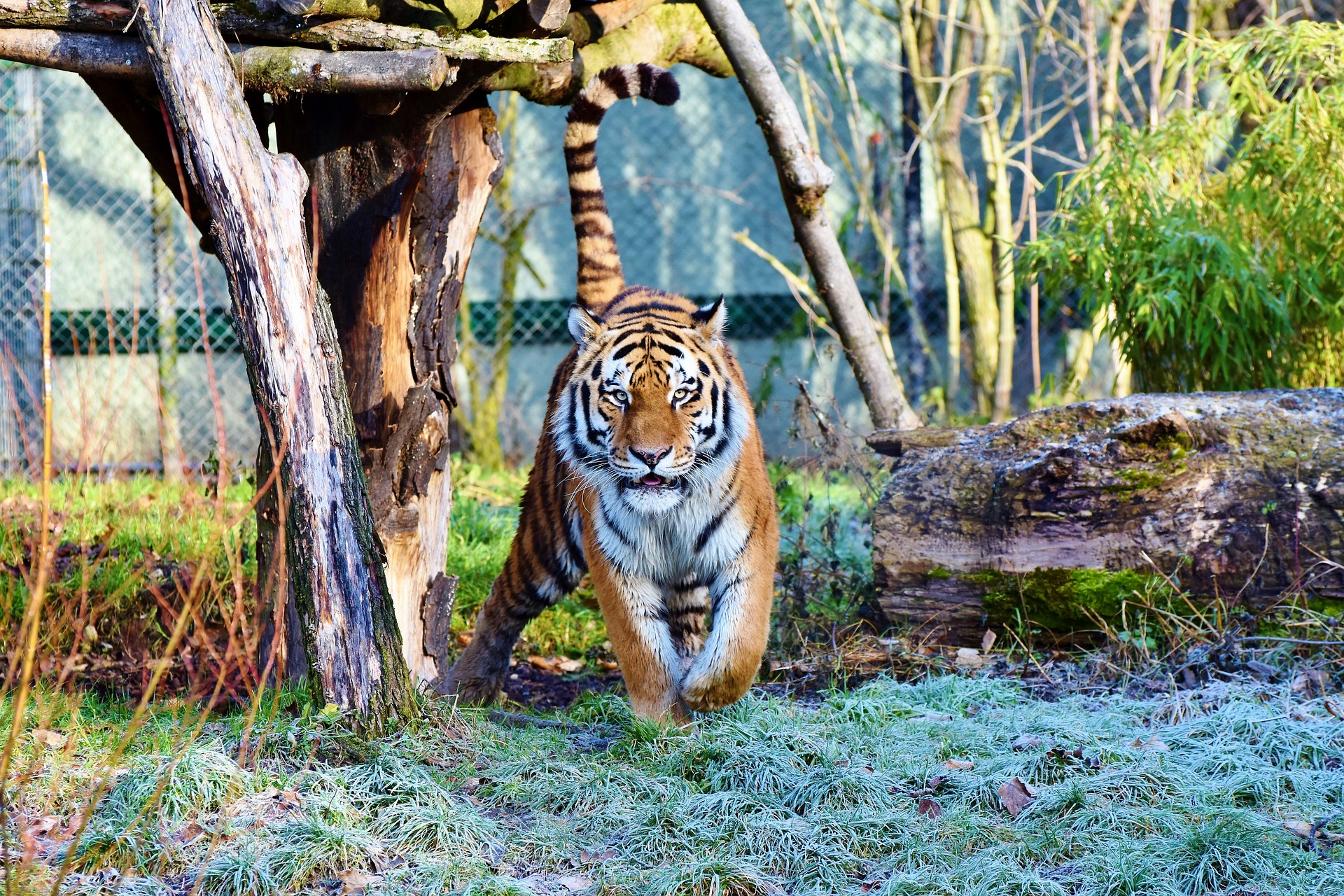 Tierpark Neumünster